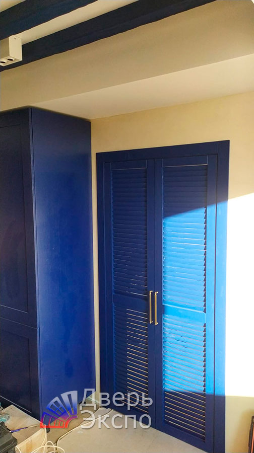 дверь синего цвета 102